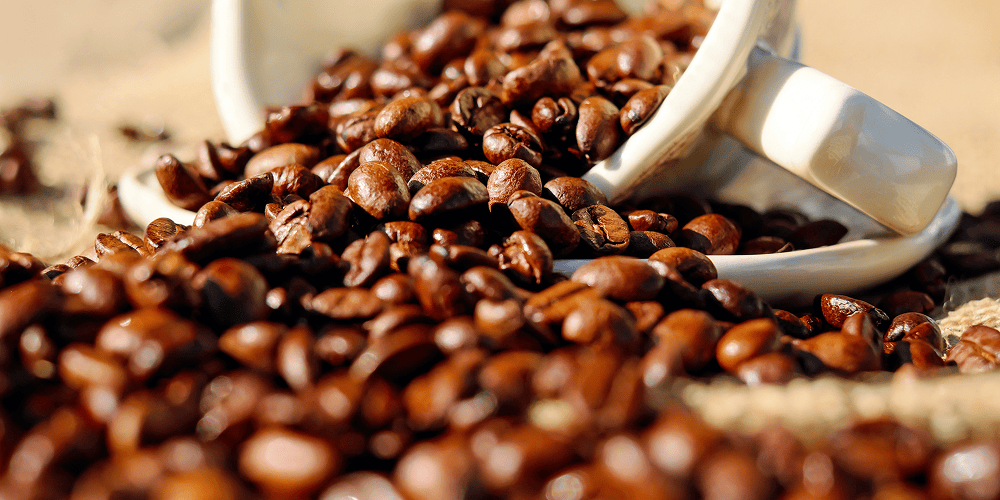 Astral Coffee Company
